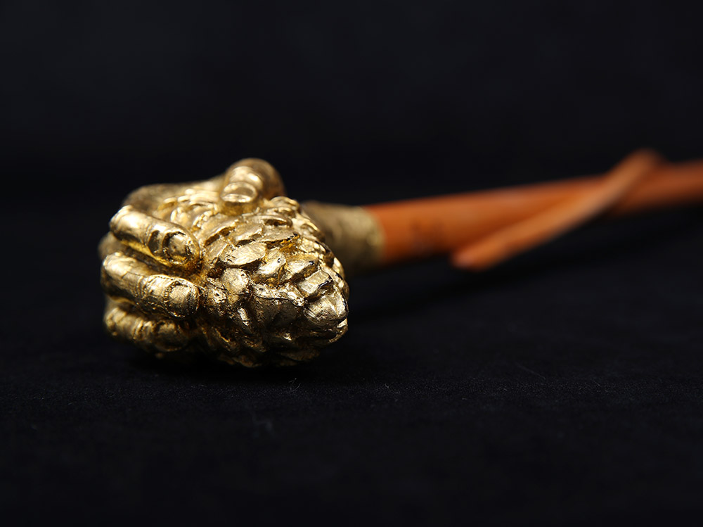 Nominate a Physician for the GoldHeaded Cane Award College News